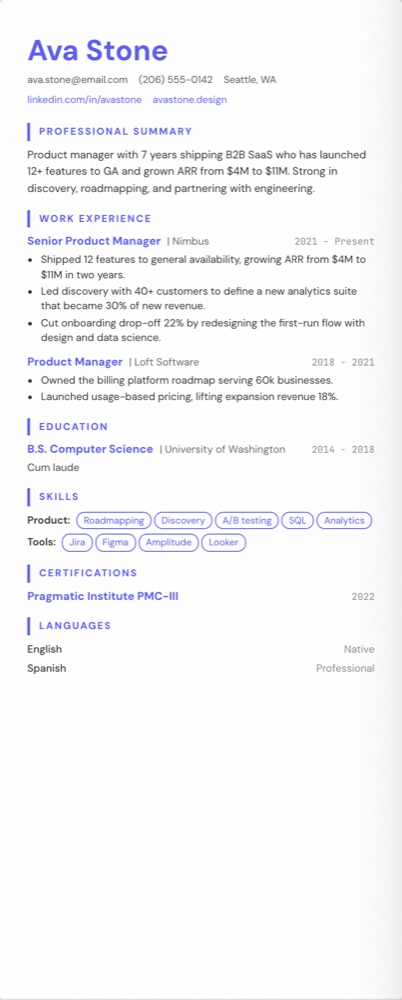 Resume showing the professional summary at the top, in the Modern Pro template.